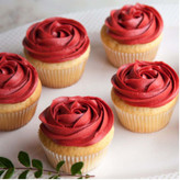 رنگ ژله ای کپی کیک قرمز اُلترا 15 گرمی